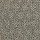 Aladdin Carpet: Stylish Effect Star Dust